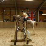 Lucy Bellamy - @lurcherlu - Instagram