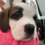 Lucy Bernard - @lucythebernard - Instagram