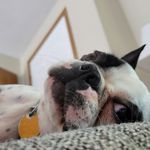 Lucy Blackman - @lucyblackman3 - Instagram