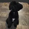 XxLucy_BlandxX - @xxpanda_kweenxx - TikTok