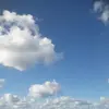 Lucy Borg - @lucy.borg4 - TikTok
