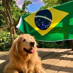 Lucy - @lucy_borges01 - Instagram
