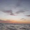 𝓛𝓾𝓬𝔂 - @lucy.braun - TikTok