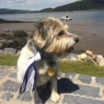 Lucy Bray - @lucy.bray.526 - Instagram