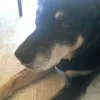 lucybray - @lucy.bray101 - TikTok