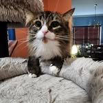 Lucy Brenner - @lonufrey - Instagram