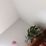 @lucybrenner23 - Instagram