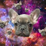 Lucy Ross-Debellis-Brewster - @misslucythefrench - Instagram