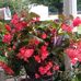 Lucy Brock - Facebook