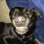 Lucy Lou Buckner - @the_luxurious_life_of_lucy - Instagram