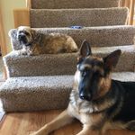 Lucy Buffington - @fire.dragonturtle - Instagram