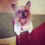 🐾lucy bug burch🐾 - @lucy_burch - Instagram