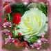 Lucy Calla - Facebook