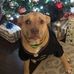 Lucy Camargo - Facebook