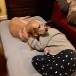 Lucy Camarillo - @lucy.camarillo.7798 - Instagram