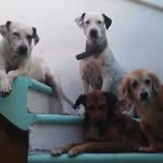 Lucy Camarillo - @garciagarciab05 - Instagram
