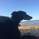Lucy Carruthers - @lscarruthers - Instagram