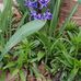 Lucy Carruthers - Facebook