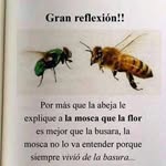 lucy casas - @casas.lucila - Instagram