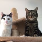 Casper & Lucy - @casper_n_lucy - Instagram