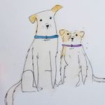 Lucy & Casper - @lucyandcasperadventures - Instagram
