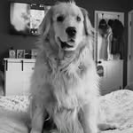 lucy castle - @lifewithlucycastle - Instagram