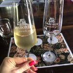 Lucy Chadwick - @wines_with_lucy - Instagram