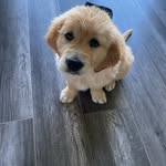 Lucy❤️ - @lucy.cheeky3 - Instagram
