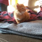 Lucy May Cheney - @lucymaycheney - Instagram