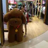 Lucy Chiu - @2175380959 - TikTok