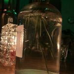 Lucy Chou - @lucy.chou.1232 - Instagram