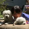 Lucy Chou - @lcc1357 - TikTok
