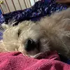 L - @lucy.clare5 - TikTok
