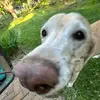 user8303736154859 - @lucyclare_34 - TikTok