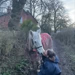 Lucy Clegg - @lucy.clegg2024 - Instagram