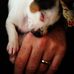 Lucy Clevenger - Facebook