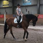 Lucy Coates - @lucy_paraequestrian - Instagram