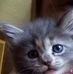 Lucy Cochran - Facebook