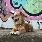 Λούσι - @lucy.cocona - Instagram
