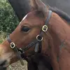 Lucy ✨🌻🌼💛😂 - @lucy.coco.07 - TikTok