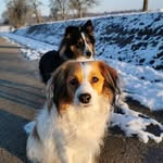 Lucy, Coco und Pfötchen - @lucyundcoco - Instagram