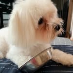 lucy&coco - @lucycoco1969 - Instagram