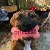lucy.turtle.n.coco - @lucy.turtle.n.coco - TikTok