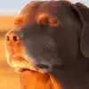 cody.lucy - @cody.lucy - TikTok