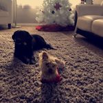 Lucy And Cody - @lucy_and_cody - Instagram