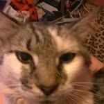 Luu - @lucycody2786 - Instagram
