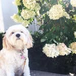 Lucy Lou (joy-giver) Colbert - @lucylouinthesky - Instagram