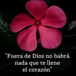 Lucy Collazo - @lucy.collazo.315 - Instagram