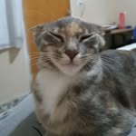 Lucy - @lucycorbins - Instagram