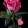 Lucy Coronado - @lucy.coronado3 - TikTok